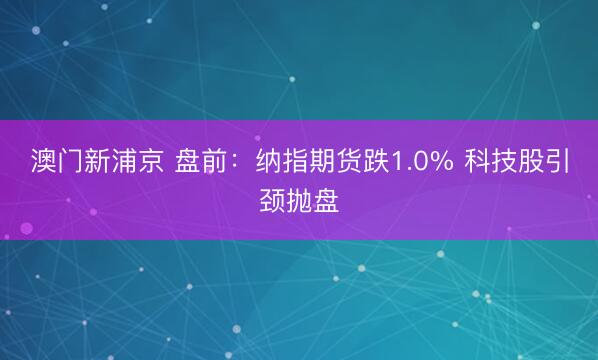 澳门新浦京 盘前：纳指期货跌1.0% 科技股引颈抛盘