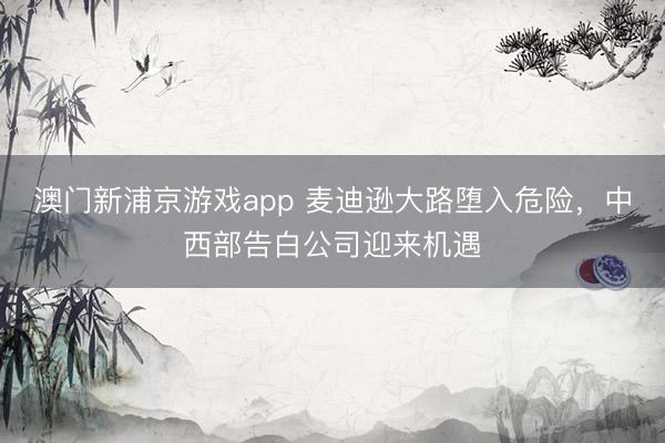 澳门新浦京游戏app 麦迪逊大路堕入危险，中西部告白公司迎来机遇