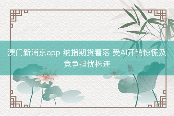 澳门新浦京app 纳指期货着落 受AI开销惊慌及竞争担忧株连