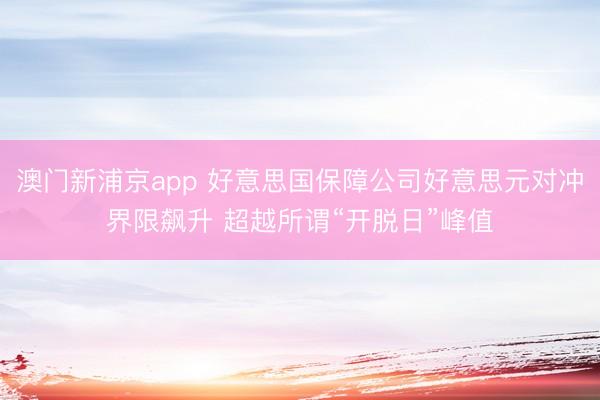 澳门新浦京app 好意思国保障公司好意思元对冲界限飙升 超越所谓“开脱日”峰值