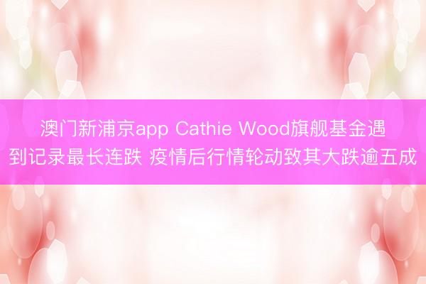 澳门新浦京app Cathie Wood旗舰基金遇到记录最长连跌 疫情后行情轮动致其大跌逾五成