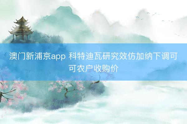 澳门新浦京app 科特迪瓦研究效仿加纳下调可可农户收购价