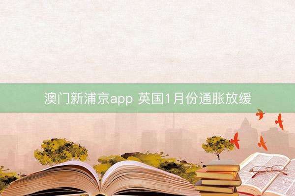 澳门新浦京app 英国1月份通胀放缓