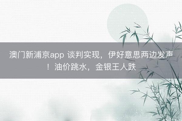 澳门新浦京app 谈判实现，伊好意思两边发声！油价跳水，金银王人跌