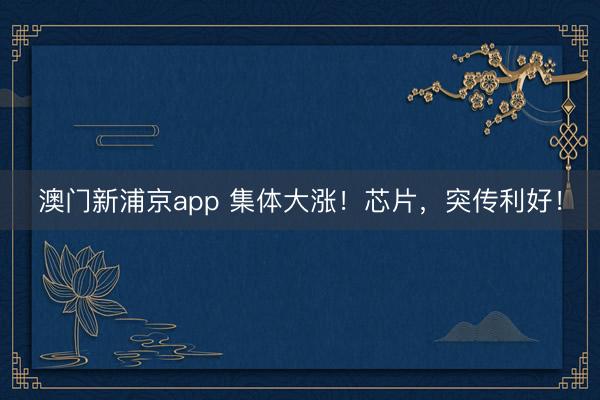 澳门新浦京app 集体大涨！芯片，突传利好！