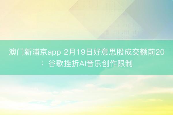 澳门新浦京app 2月19日好意思股成交额前20：谷歌挫折AI音乐创作限制