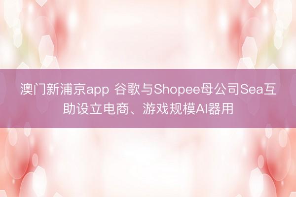 澳门新浦京app 谷歌与Shopee母公司Sea互助设立电商、游戏规模AI器用