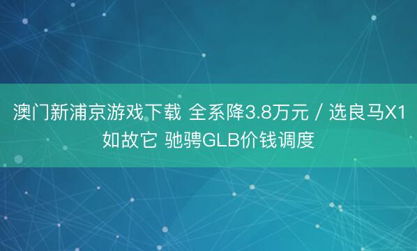 澳门新浦京游戏下载 全系降3.8万元/选良马X1如故它 驰骋GLB价钱调度