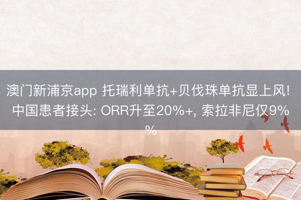 澳门新浦京app 托瑞利单抗+贝伐珠单抗显上风! 中国患者接头: ORR升至20%+， 索拉非尼仅9%