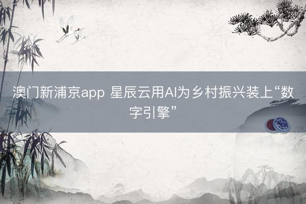澳门新浦京app 星辰云用AI为乡村振兴装上“数字引擎”