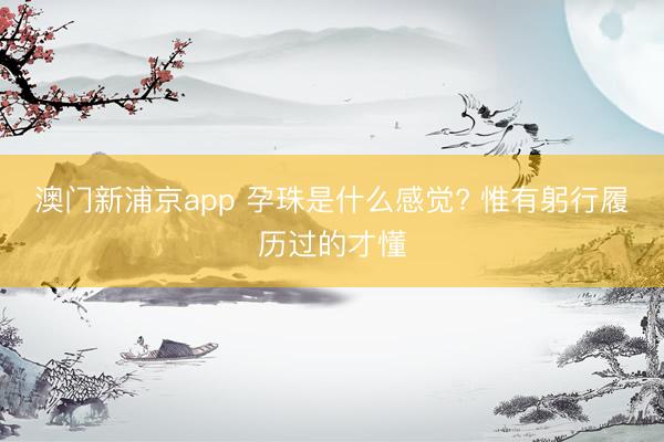 澳门新浦京app 孕珠是什么感觉? 惟有躬行履历过的才懂