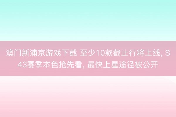 澳门新浦京游戏下载 至少10款截止行将上线, S43赛季本色抢先看, 最快上星途径被公开